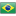 Brazil-icon.png
