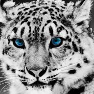 Wasim